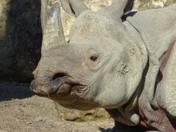Tiergarten Schönbrunn am 05.03.2026